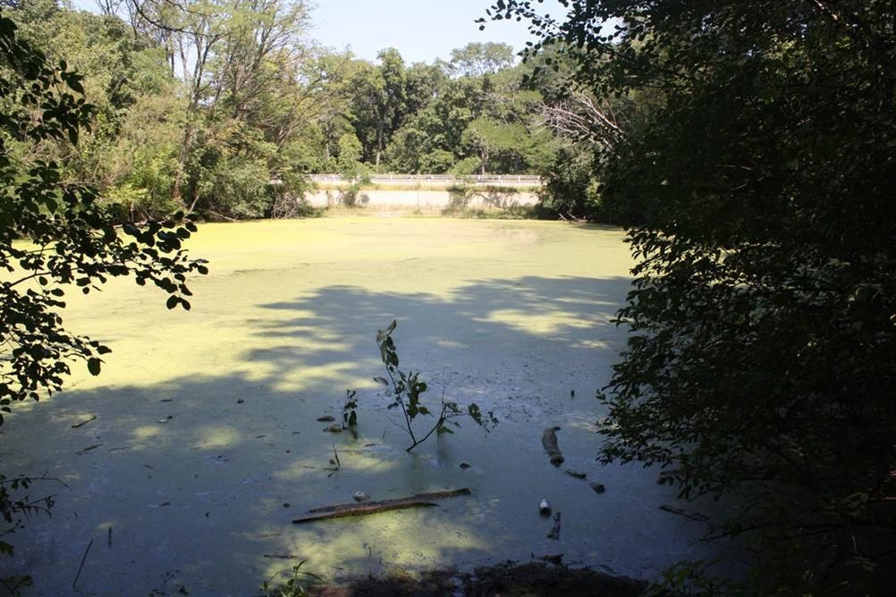 Bachelor's Grove Cemetery - Chicago, Illinois